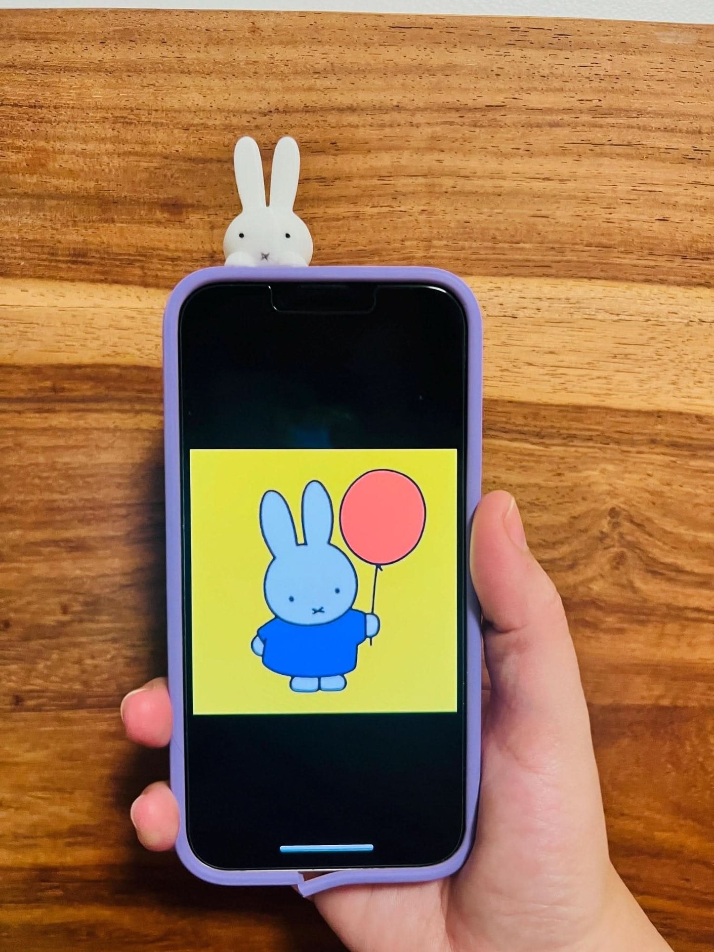 Miffy Bunny Planter – Cute 3D Printed Pot for Plants - iPrinToronto