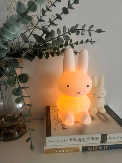 Miffy Bunny Family Night Light – 3D Printed LED Lamp - iPrinToronto