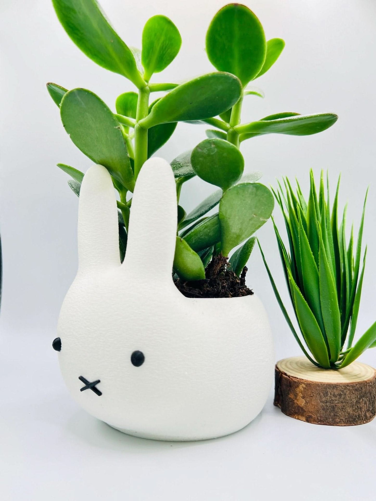 Miffy Bunny Planter – Cute 3D Printed Pot for Plants - iPrinToronto